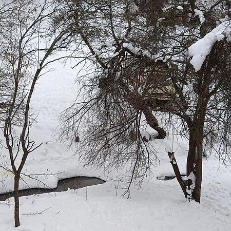 Vila Nika Crni Vrh Zewnętrze zdjęcie