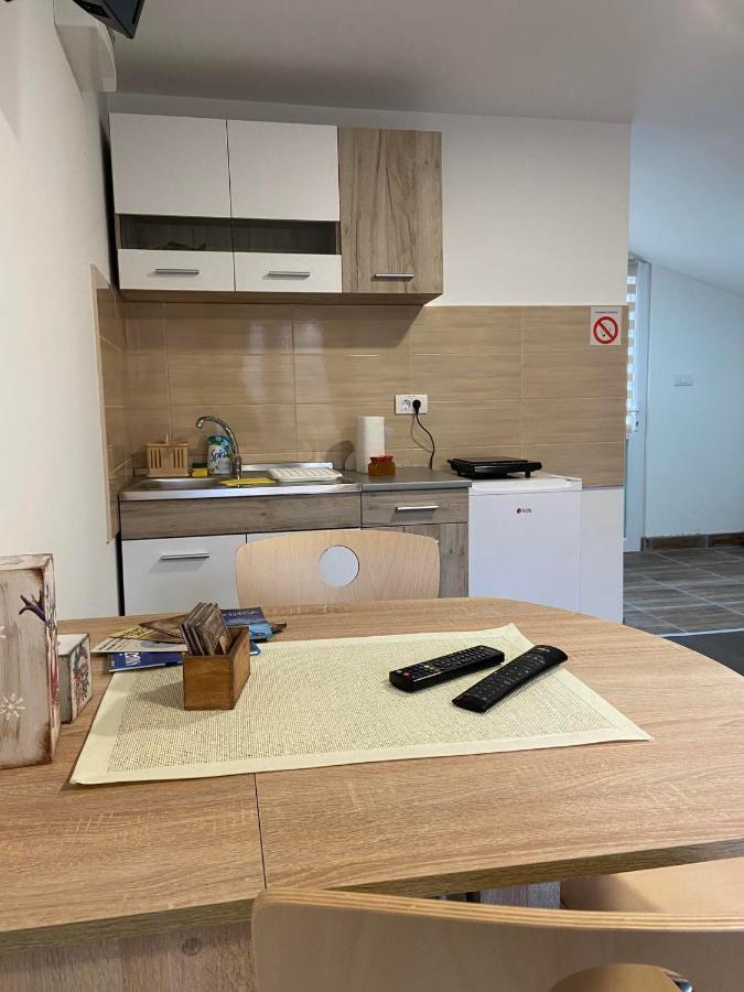 Vila Nika Crni Vrh Zewnętrze zdjęcie