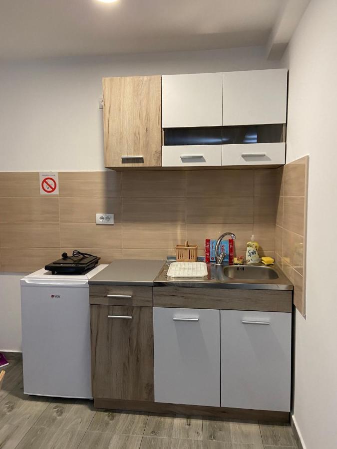 Vila Nika Crni Vrh Zewnętrze zdjęcie