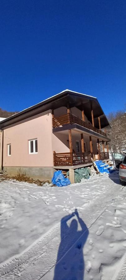 Vila Nika Crni Vrh Zewnętrze zdjęcie